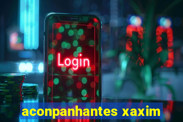 aconpanhantes xaxim