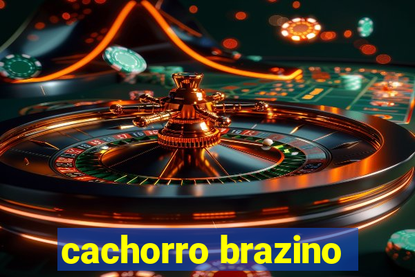 cachorro brazino