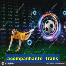 acompanhante trans porto seguro