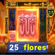 25 flores silvestres com nomes 25 flores silvestres desbravadores