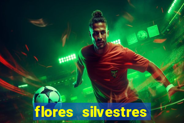 flores silvestres desbravadores desbravadores 25