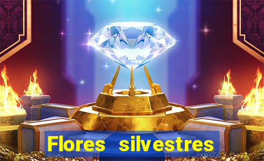 Flores silvestres brasileiras brasileiras flores silvestres nomes e imagens