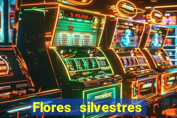 Flores silvestres brasileiras brasileiras flores silvestres nomes e imagens