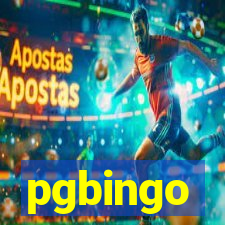 pgbingo