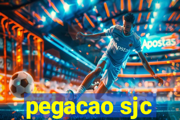 pegacao sjc