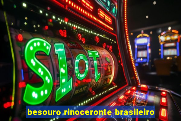 besouro rinoceronte brasileiro