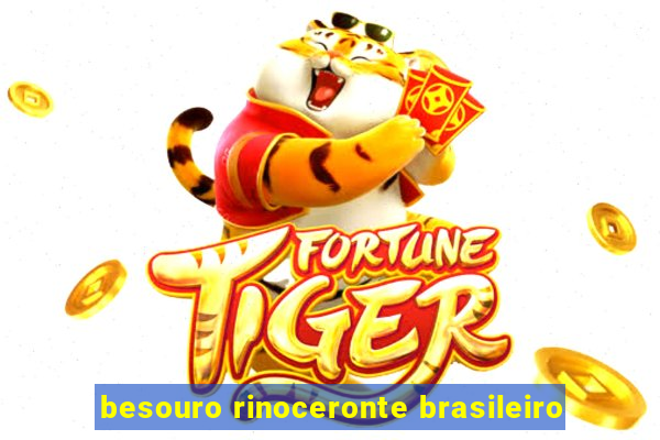 besouro rinoceronte brasileiro