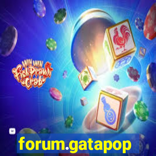 forum.gatapop