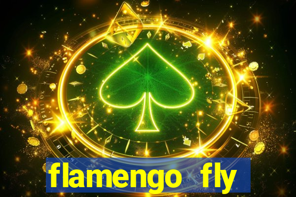 flamengo fly emirates ultimas noticias