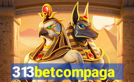 313betcompaga