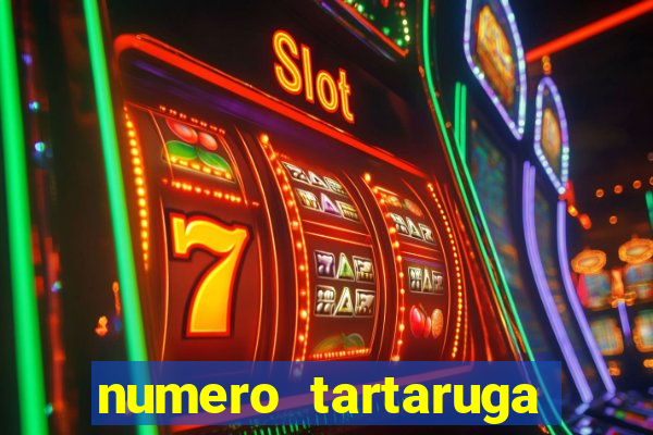 numero tartaruga jogo do bicho