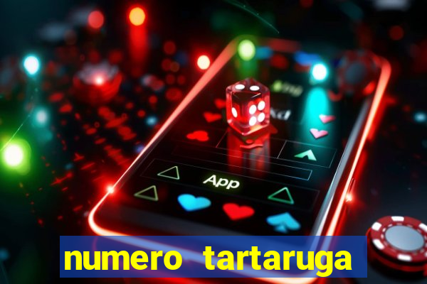 numero tartaruga jogo do bicho