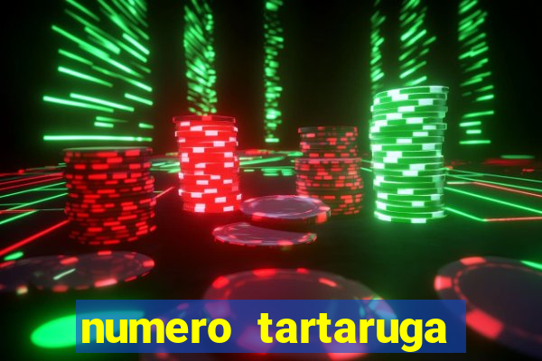 numero tartaruga jogo do bicho