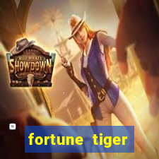 fortune tiger cassino pix