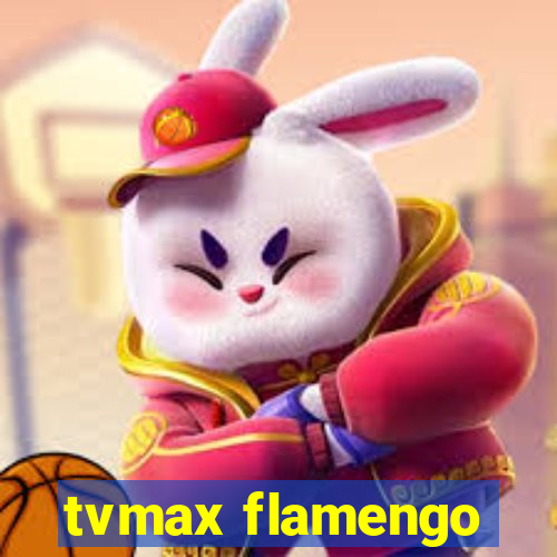 tvmax flamengo