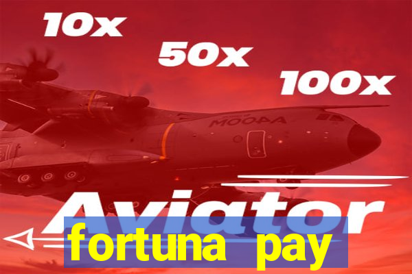 fortuna pay consultoria financeira ltda