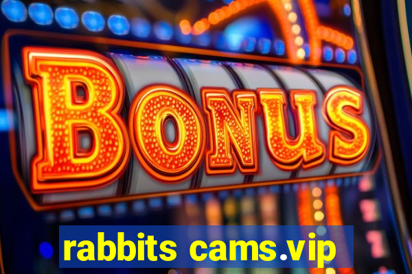 rabbits cams.vip