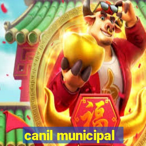 canil municipal