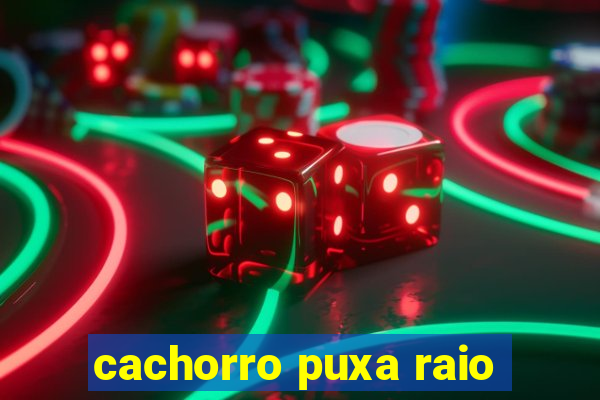 cachorro puxa raio