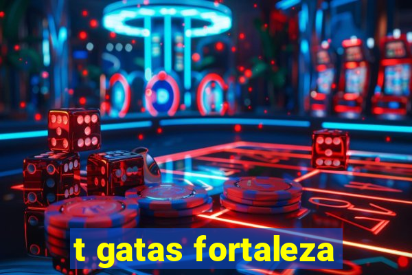 t gatas fortaleza