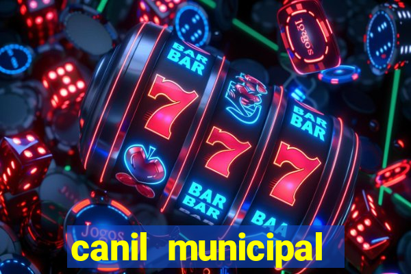 canil municipal porto alegre