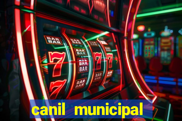 canil municipal porto alegre