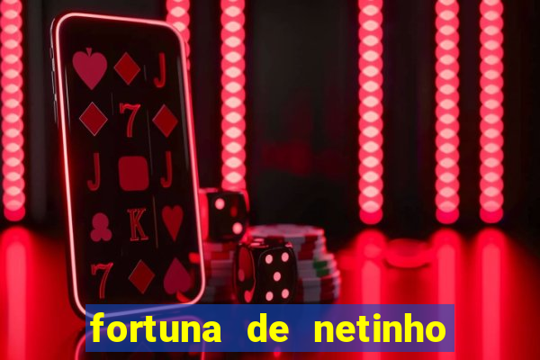 fortuna de netinho de paula