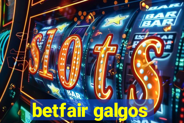 betfair galgos