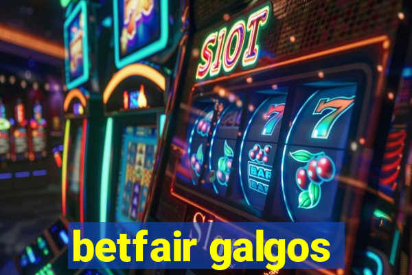 betfair galgos