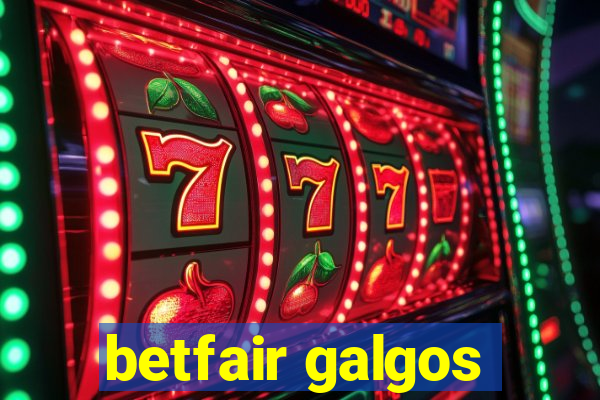 betfair galgos