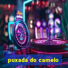 puxada do camelo