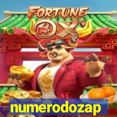 numerodozap