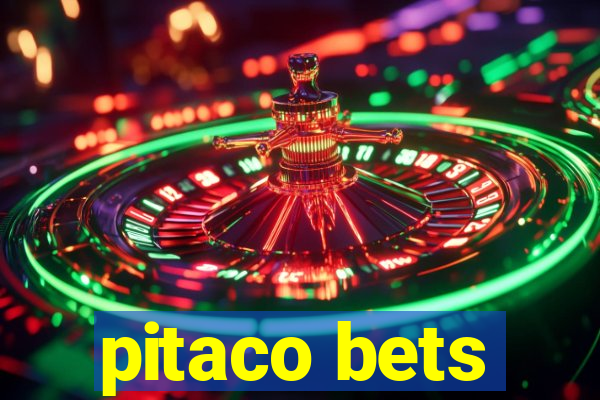 pitaco bets