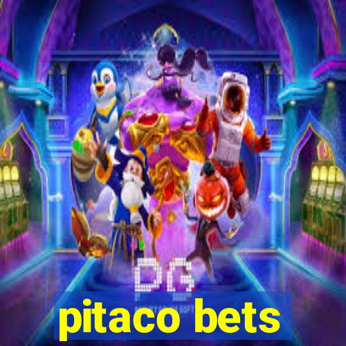 pitaco bets