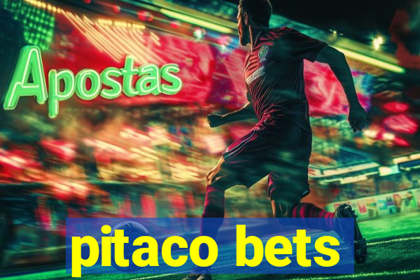 pitaco bets