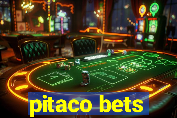 pitaco bets