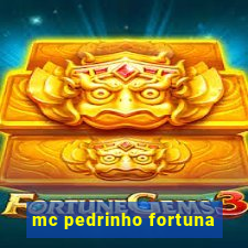 mc pedrinho fortuna