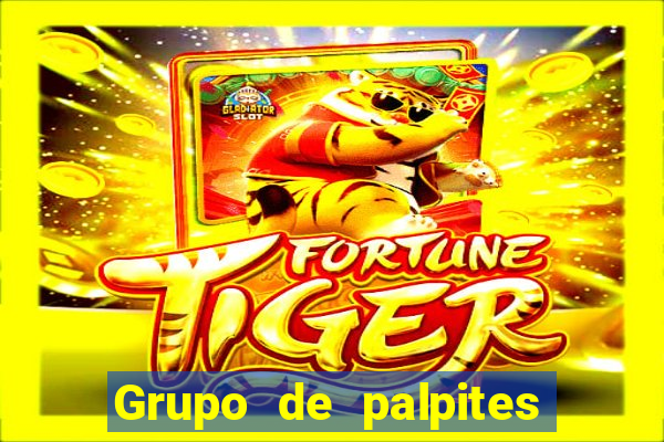 Grupo de palpites de futebol gratis