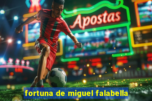 fortuna de miguel falabella