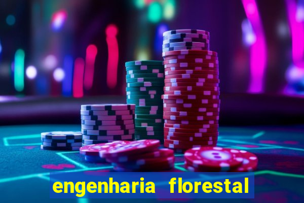 engenharia florestal ead cruzeiro do sul