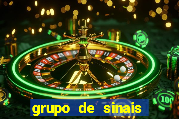 grupo de sinais fortune rabbit