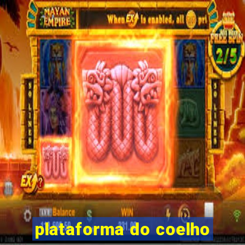 plataforma do coelho