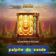 palpite do xande de hoje