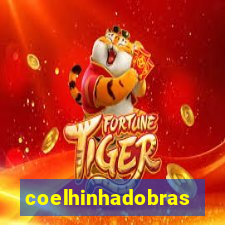 coelhinhadobrasil