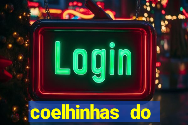 coelhinhas do brasil acompanhantes