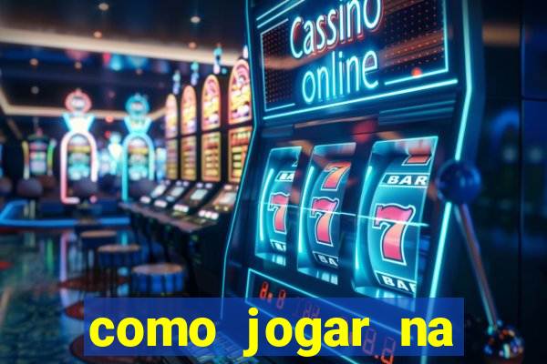 como jogar na lotinha do jogo do bicho