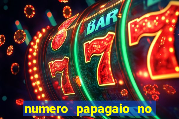 numero papagaio no jogo do bicho