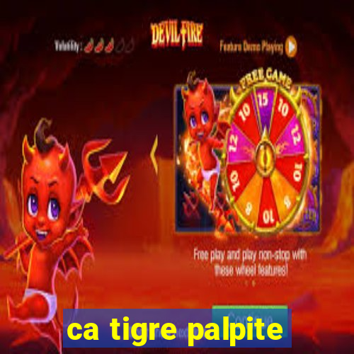 ca tigre palpite