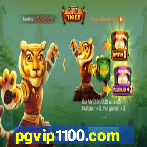 pgvip1100.com