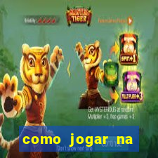 como jogar na seninha online